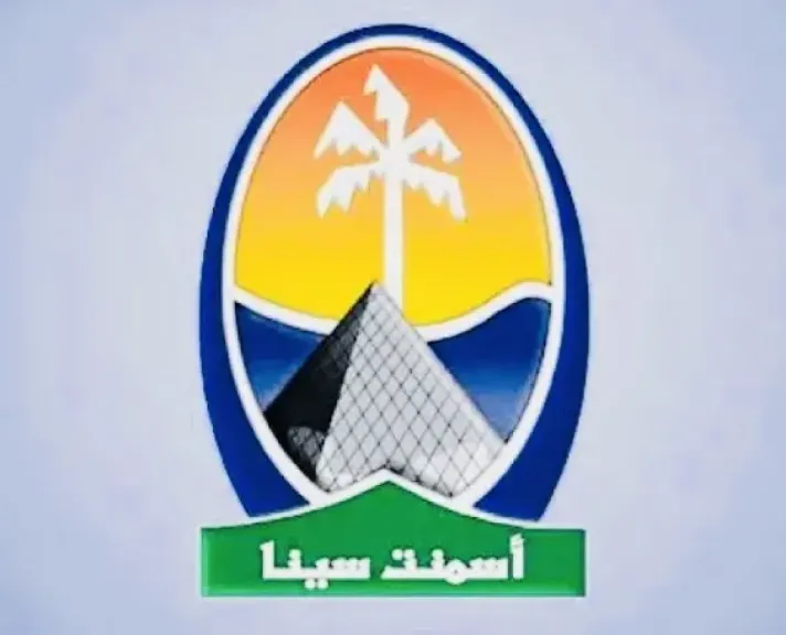 أسمنت سيناء