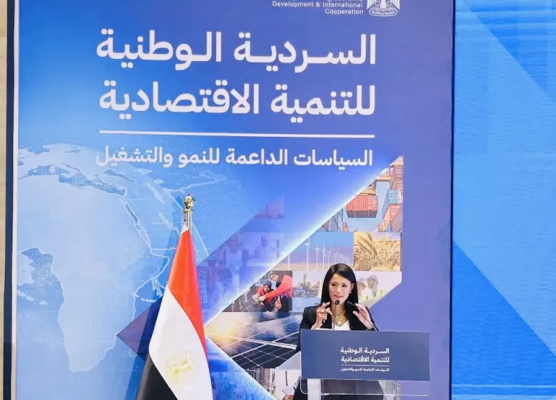 وزيرة التخطيط