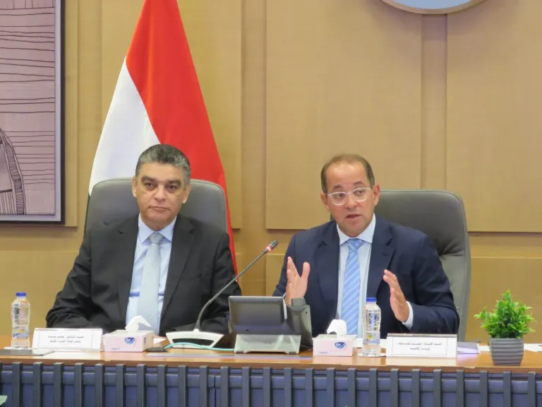 وزير المالية احمد كجوك