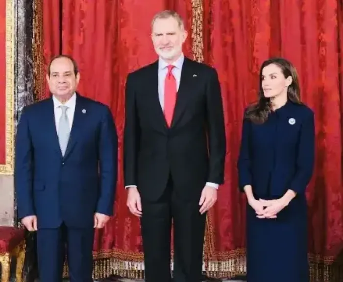 الرئيس السيسي