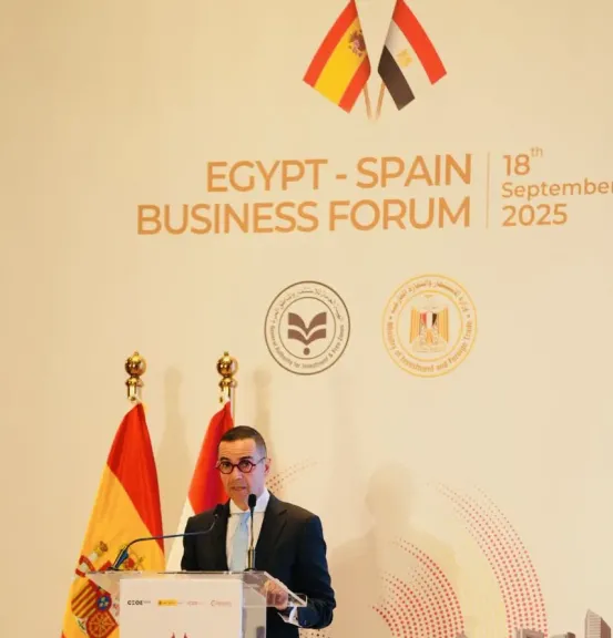 وزير الاستثمار