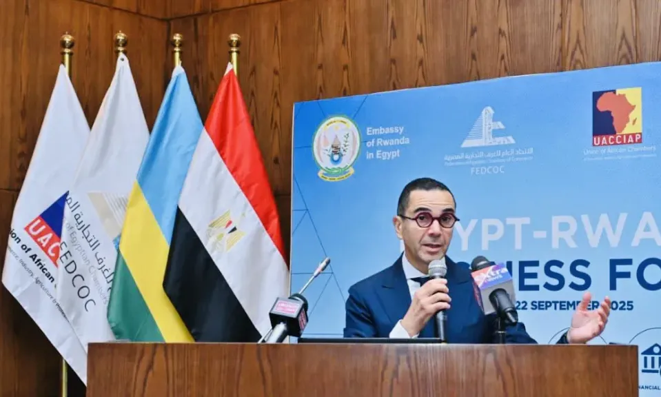 وزير الاستثمار