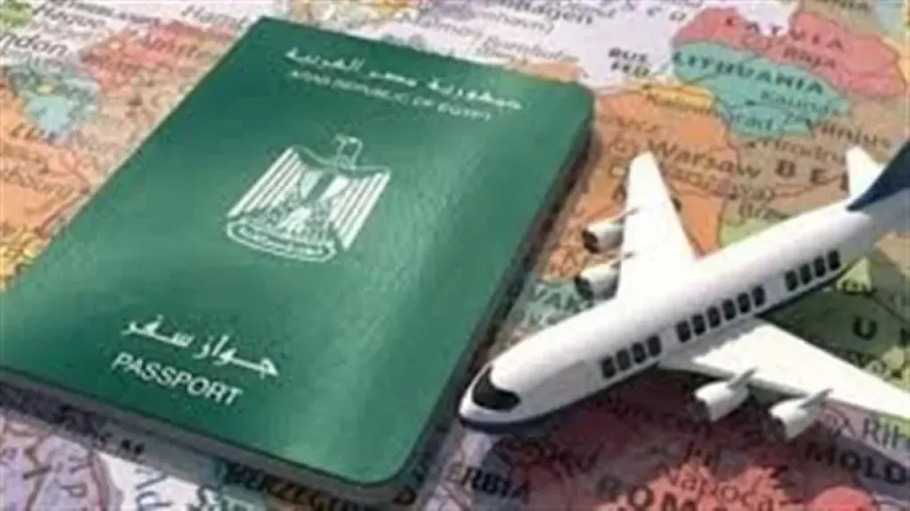 ارشيفية 
