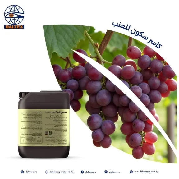 المنتج