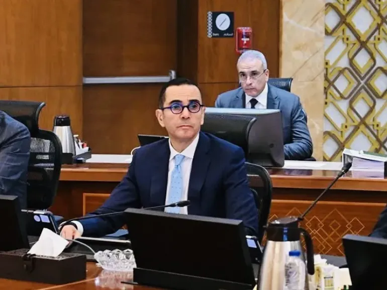 وزير الاستثمار