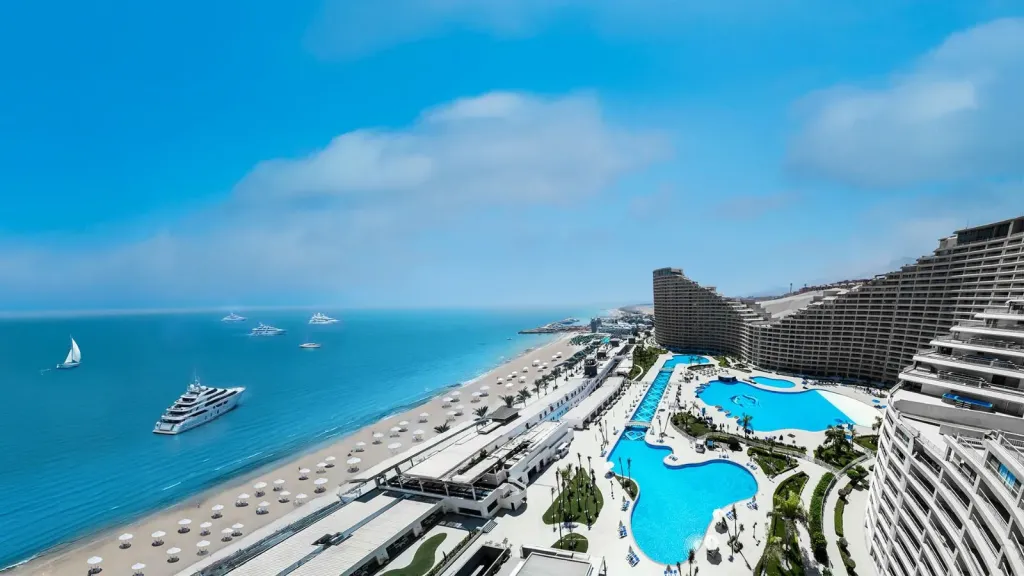 المشروع الجديد 