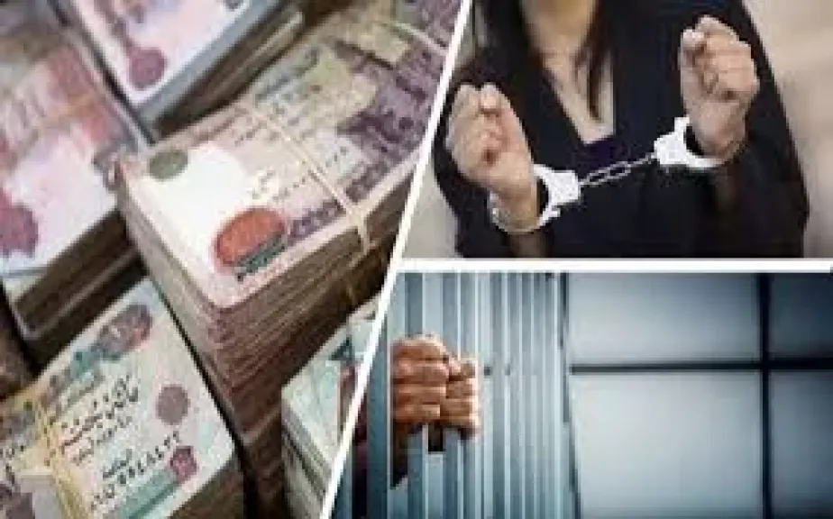 قضايا الأموال العامة