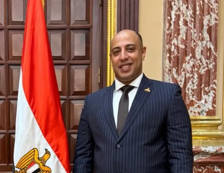 النائب محمد ثابت