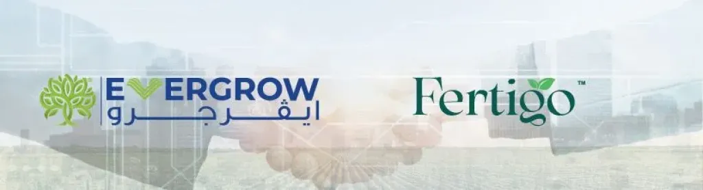 إيڤرجرو