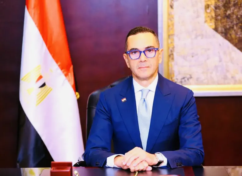 وزير الاستثمار