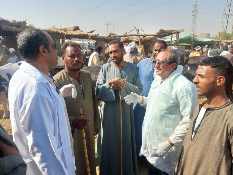 جانب من الفعاليات