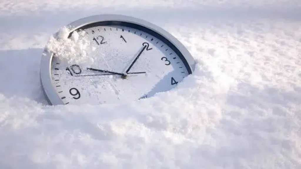 Sorry! Image not available at this time