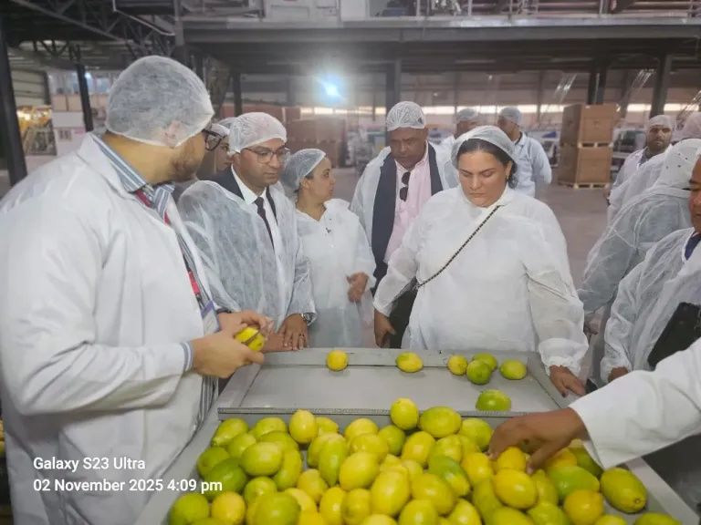 جانب من الزيارة 