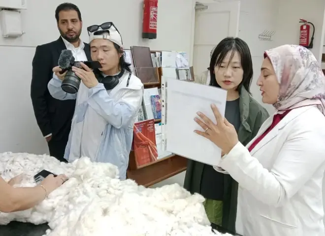 الصين تستثمر في القطن المصري.. زيارة وفد شركة MINE لمتابعة إنشاء خطوط إنتاج جديدة