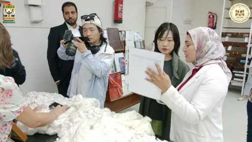 الصين تستثمر في القطن المصري.. زيارة وفد شركة MINE لمتابعة إنشاء خطوط إنتاج جديدة