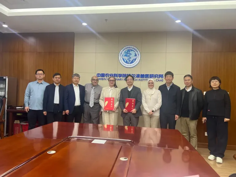 ”الزراعة”: تعاون مصري صيني لتعزيز الابتكار في مجال الصحة الحيوانية