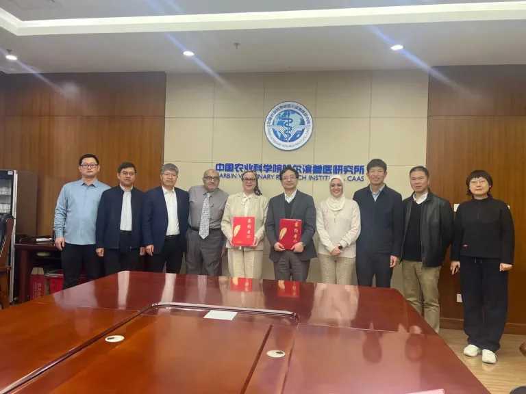 Sorry! Image not available at this time