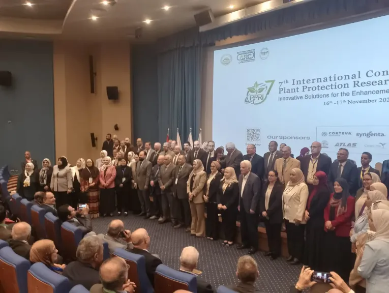 جانب من الفعاليات 