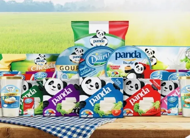 آراب ديري باندا تتحول للخسائر وتتكبد 189 مليون جنيه بأول 9 أشهر من 2025