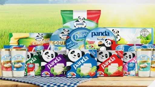 آراب ديري باندا تتحول للخسائر وتتكبد 189 مليون جنيه بأول 9 أشهر من 2025