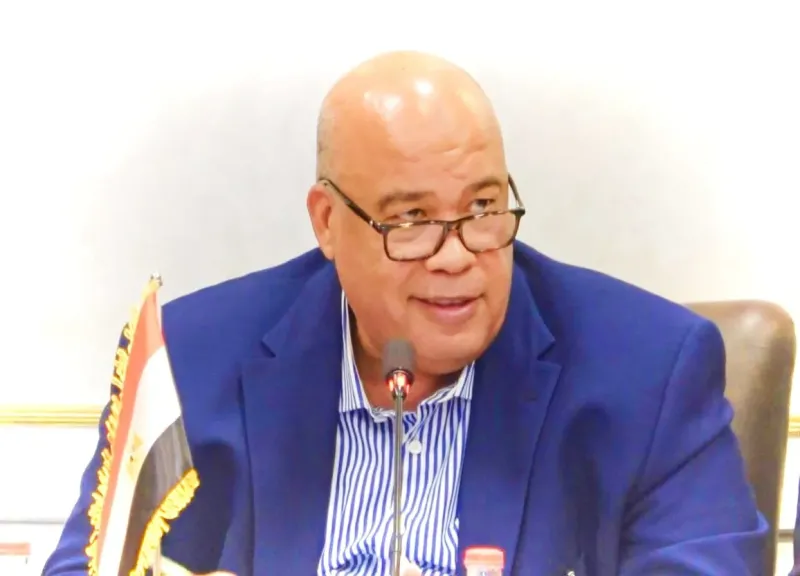 ايمن العشري 