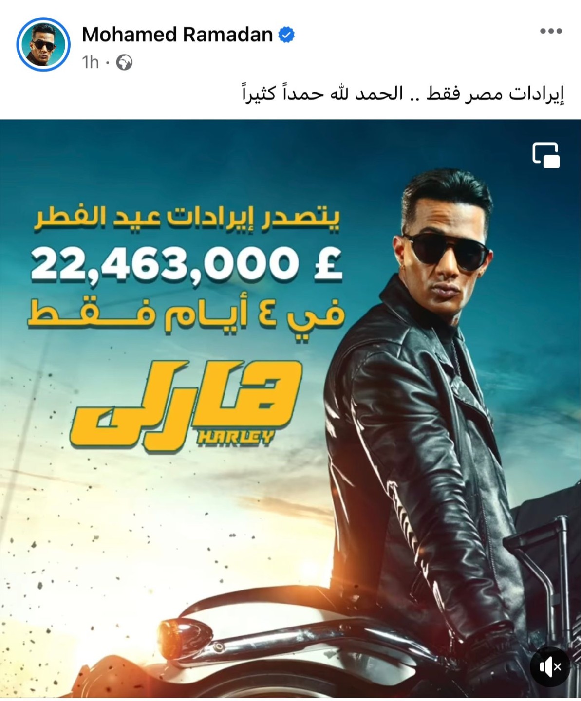 إيرادات فيلم هارلي